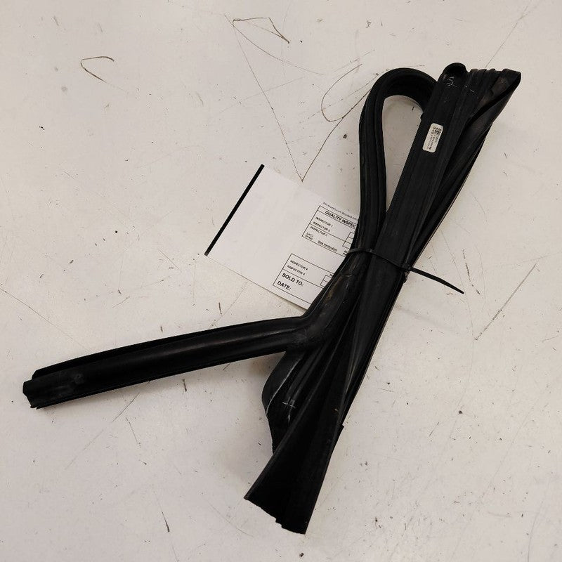 Ford Ecosport Door Glass Window Seal Rubber Left Driver Rear Back 2020