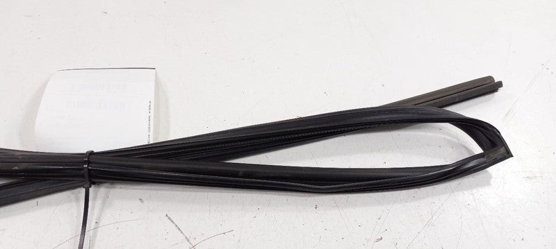 Subaru Tribeca Door Glass Window Seal Rubber Right Passenger Rear Back