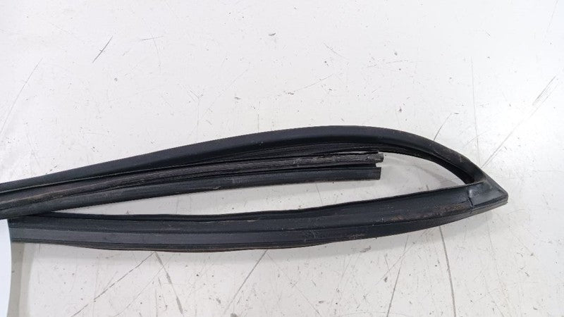 Honda Insight Door Glass Window Seal Rubber Right Passenger Front 2010