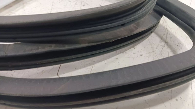 Dodge Dart On Body Door Jamb Seal Rear Left Back  2013 2014 2015 2016