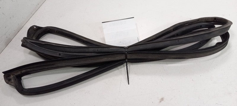Hyundai Elantra On Door Seal Rubber Right Passenger Front 2009 2010 20