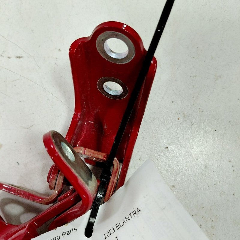Hyundai Elantra Door Hinge Set Right Rear Passenger  2024 2023 2022 20