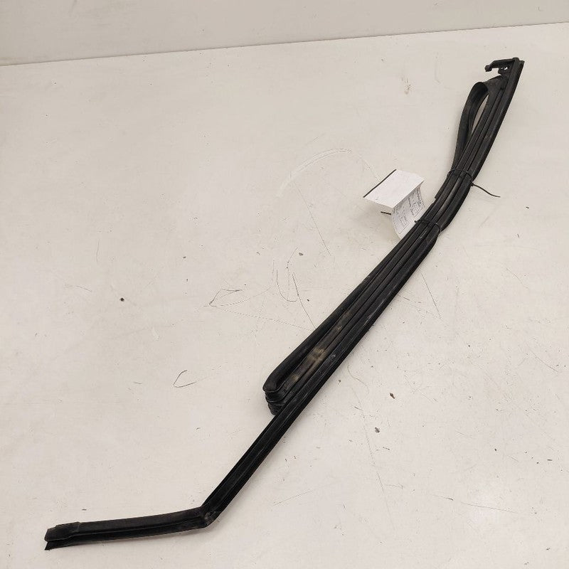 Chevy Volt Door Glass Window Seal Rubber Left Driver Front  2019 2018 