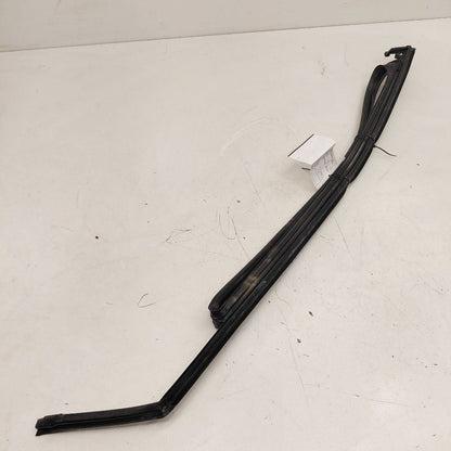 Chevy Volt Door Glass Window Seal Rubber Left Driver Front  2019 2018 