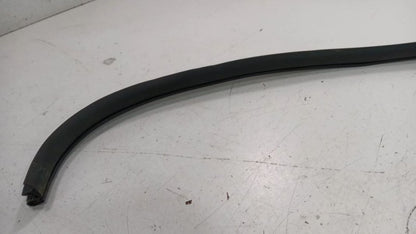 Hyundai Sonata On Body Door Jamb Seal Front Right Passenger 2011 2012 