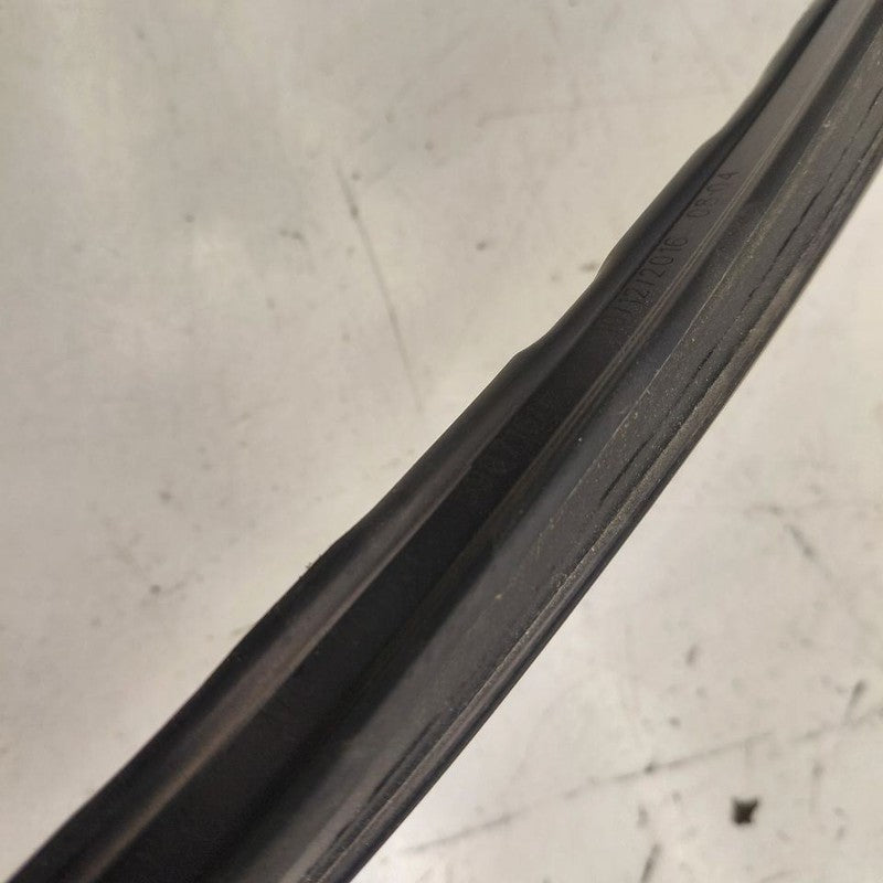 Chevy Volt Door Glass Window Seal Rubber Right Passenger Front  2016 2