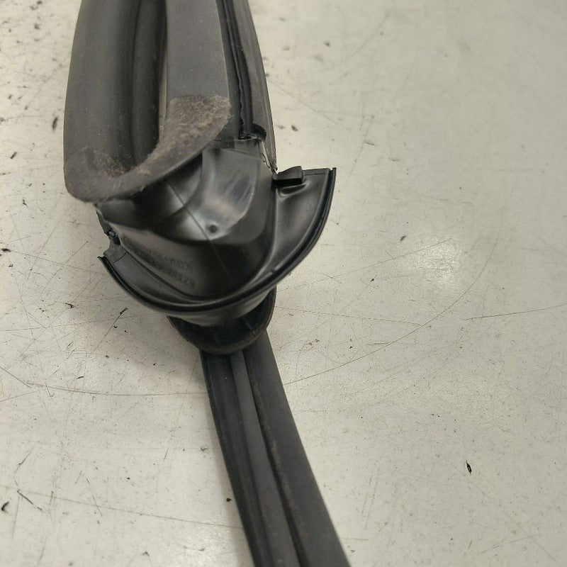 Nissan Versa Door Glass Window Seal Rubber Right Passenger Rear Back  