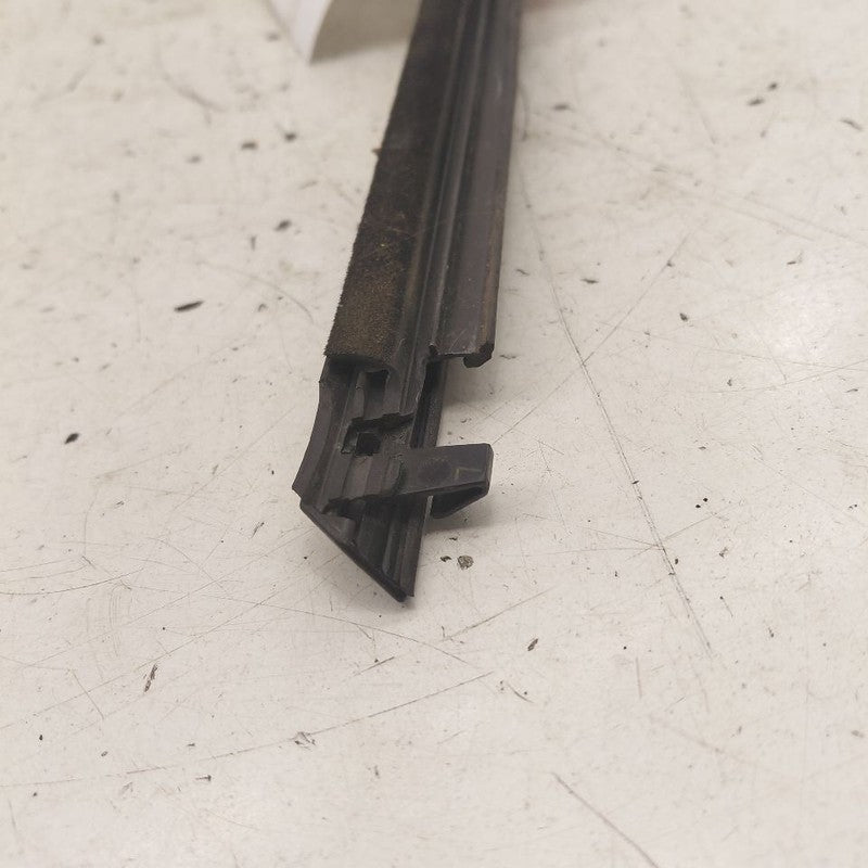 Toyota Prius Door Glass Window Weather Strip Trim Rear Left Driver Bac