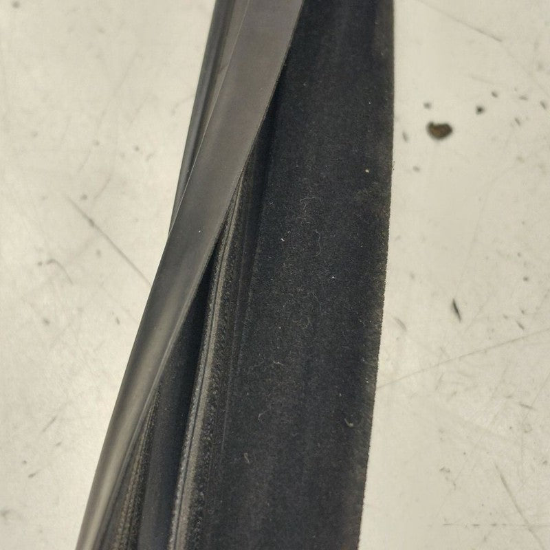 Volvo S60 Door Glass Window Seal Rubber Right Passenger Front  2018 20