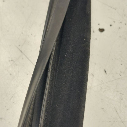 Volvo S60 Door Glass Window Seal Rubber Right Passenger Front  2018 20