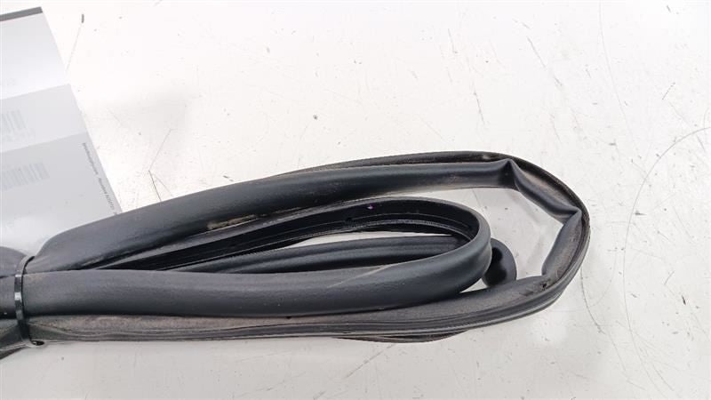 Chevrolet Equinox On Door Seal Rubber Right Passenger Rear Back 2018 2019