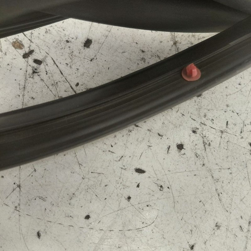 Buick Encore GX On Door Seal Rubber Left Driver Rear Back  2022 2023 2
