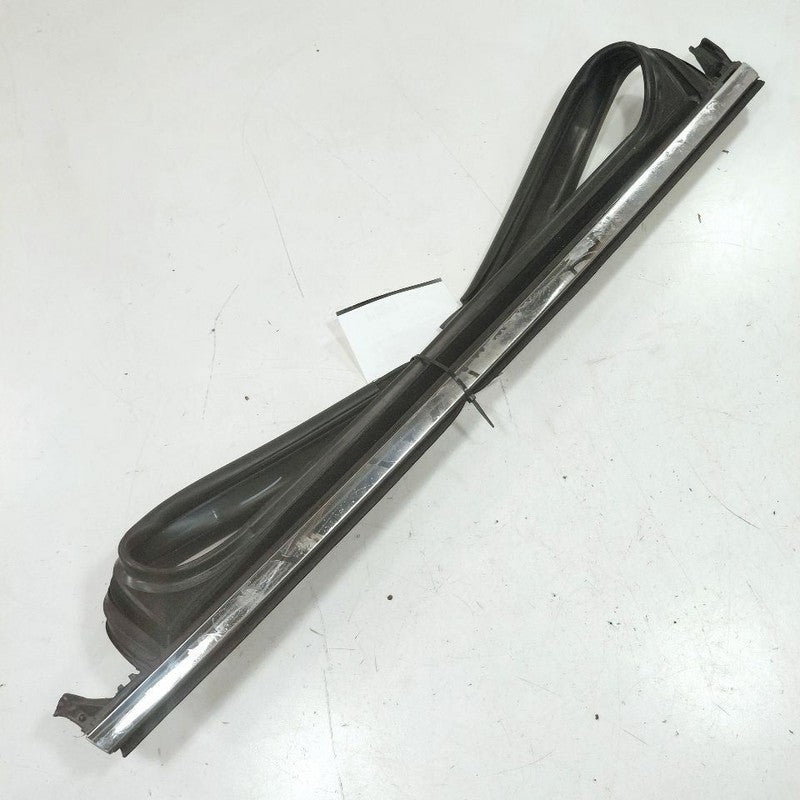 Jeep Compass Door Glass Window Seal Rubber Left Driver Rear Back  2025