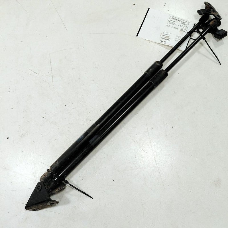 Ford Edge Hatchback Hatch Back Trunk Lid Shock Strut Support 2019 2020