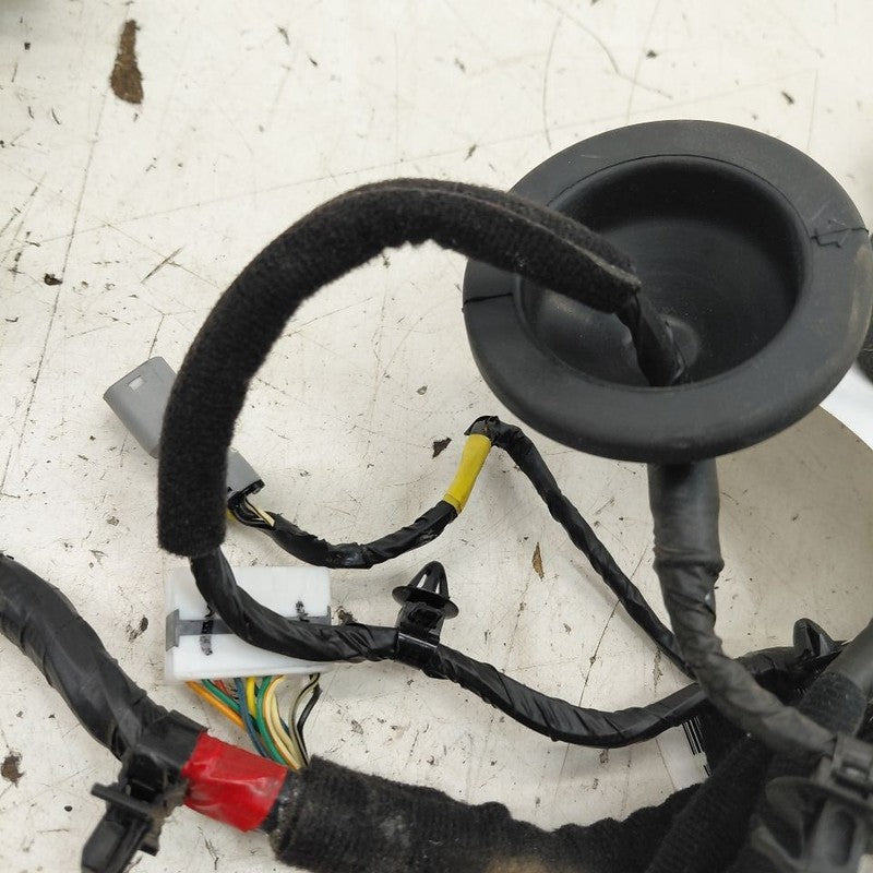 Kia Sorento Door Harness Wire Wiring Right Passenger Front  2018 2017 