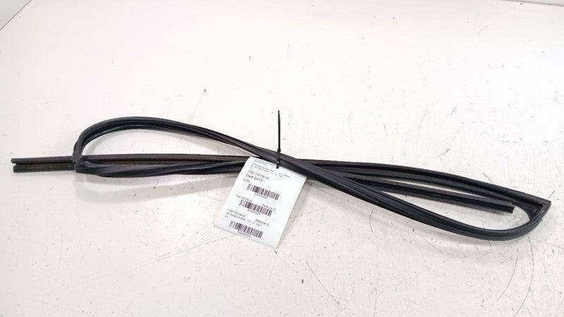 Toyota Prius Door Glass Window Seal Rubber Right Passenger Front 2015 