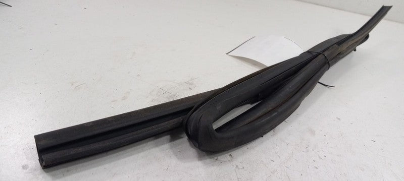 Scion XA Door Glass Window Seal Rubber Right Passenger Rear Back 2004 