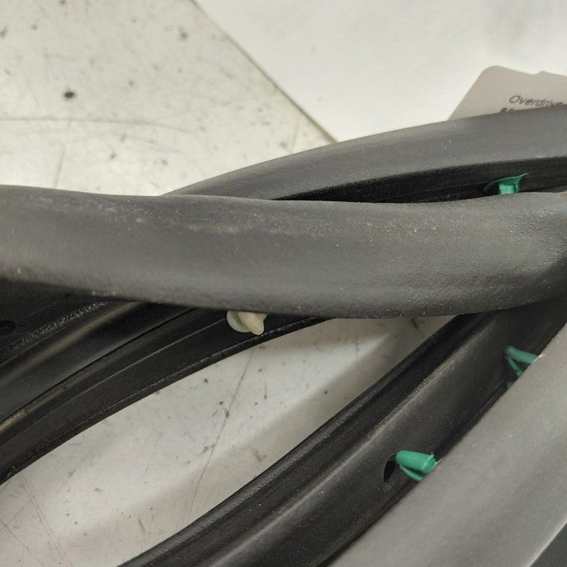 Chevy Volt On Door Seal Rubber Right Passenger Front  2016 2017 2018 2