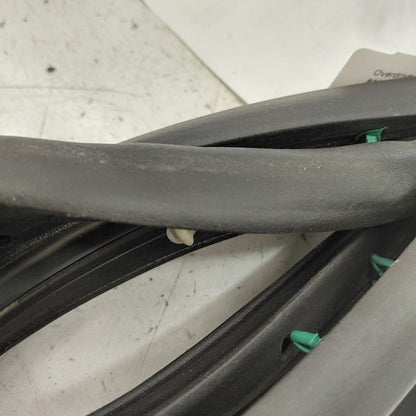 Chevy Volt On Door Seal Rubber Right Passenger Front  2016 2017 2018 2