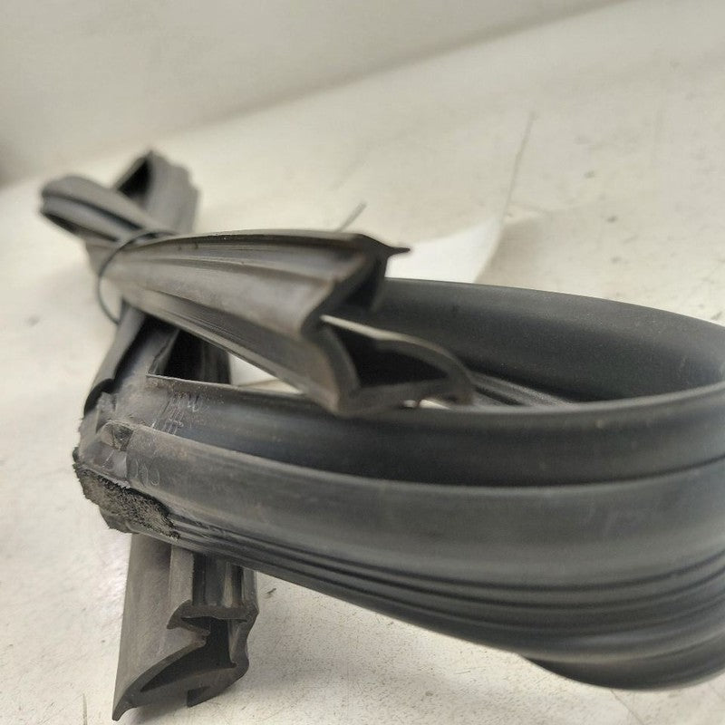 Hyundai Veloster Door Glass Window Seal Rubber Left Driver Front  2017