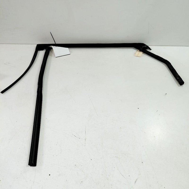 Ford Edge Door Glass Window Seal Rubber Right Passenger Rear Back 2019