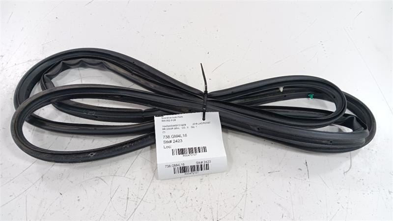 Buick Lacrosse On Door Seal Rubber Right Passenger Rear Back 2013 2014
