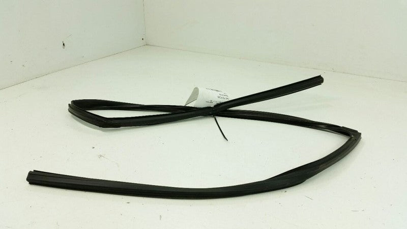  2008 Toyota Prius Door Glass Window Seal Rubber Gasket Left Driver Rear Back