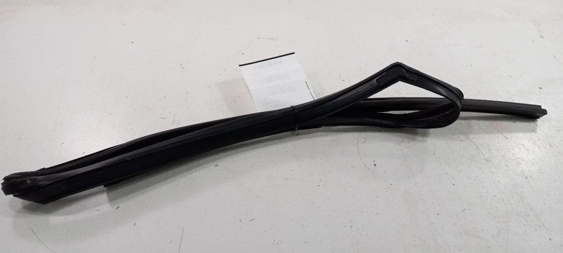 Cadillac SRX Door Glass Window Seal Rubber Right Passenger Rear Back 2