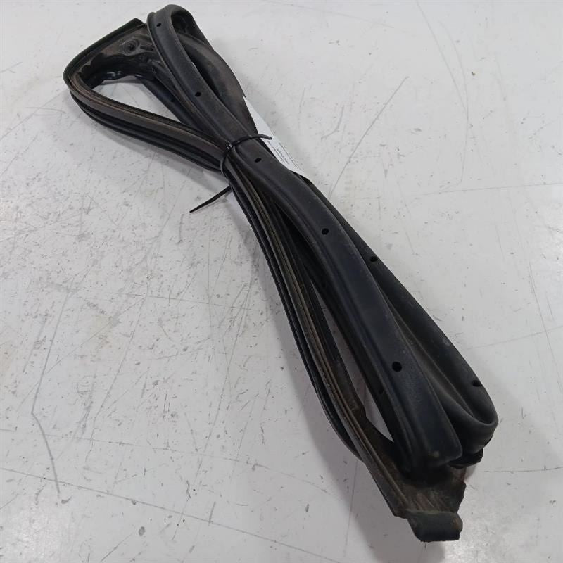Mazda CX-3 On Door Seal Rubber Left Rear Back  2016 2017 2018 OEM