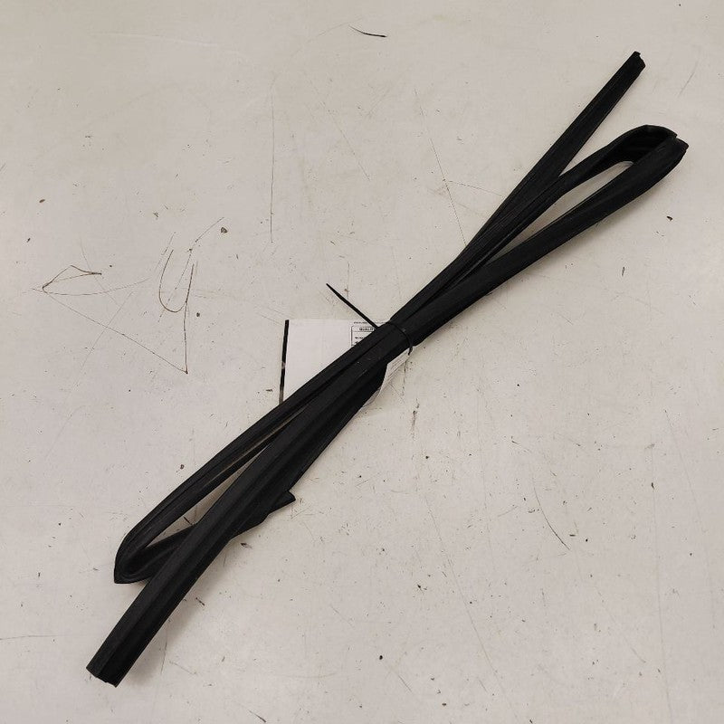 Nissan Rogue Door Glass Window Seal Rubber Right Passenger Rear Back  