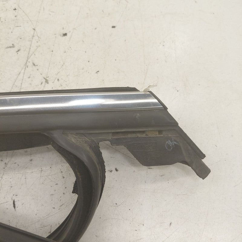 Ford Edge Door Glass Window Seal Rubber Left Driver Rear Back  2018 20