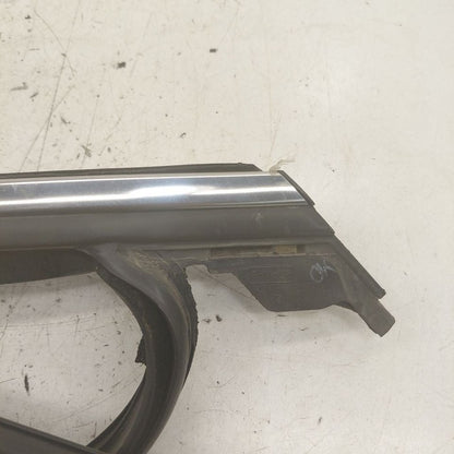 Ford Edge Door Glass Window Seal Rubber Left Driver Rear Back  2018 20