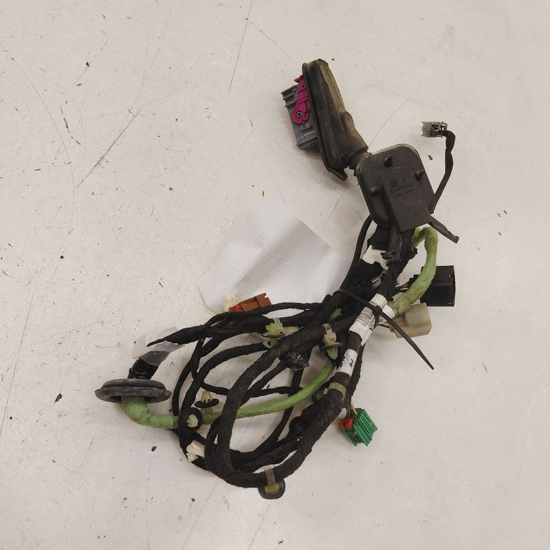 Cadillac XTS Door Harness Wire Wiring Right Passenger Rear      2016 2