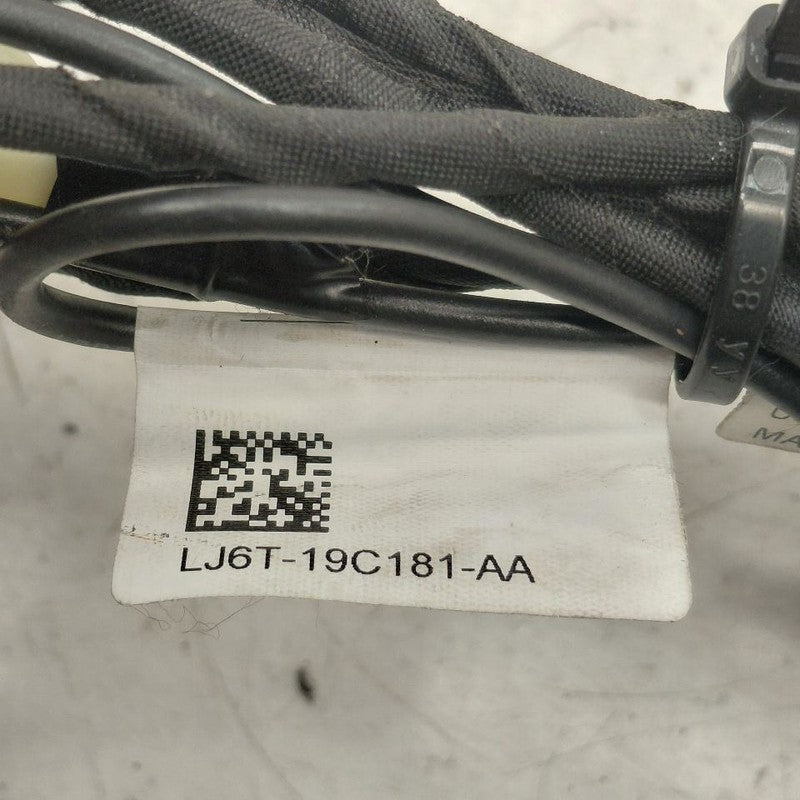 Ford Escape Radio Atenna Cable {LJ6T19C181AA} 2020 2021 2022