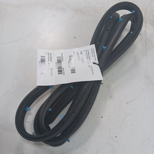 Chevy Trailblazer On Door Seal Rubber Right Passenger Rear Back  2021 2022 2023 