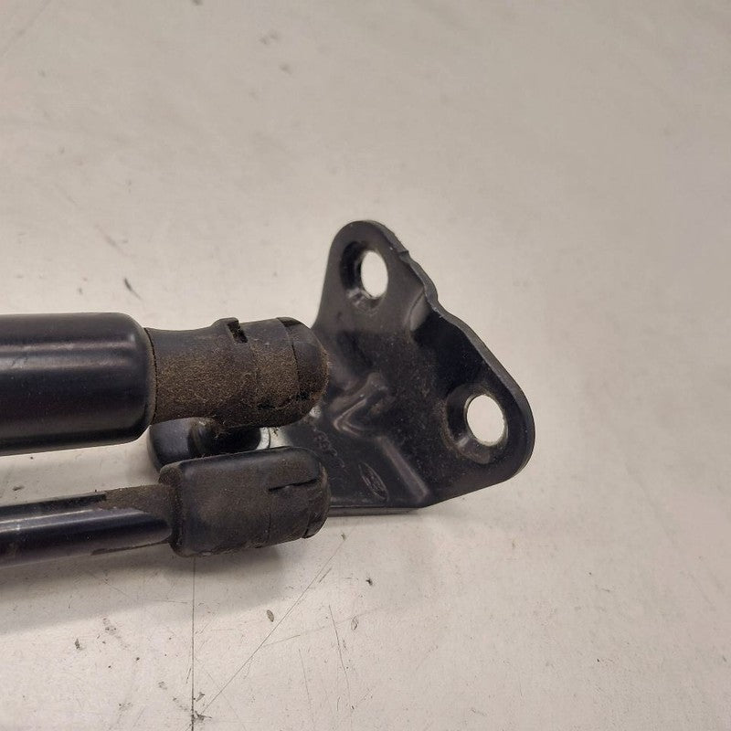 Ford Escape Hatchback Hatch Back Trunk Lid Shock Strut Support  2020 2