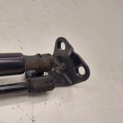 Ford Escape Hatchback Hatch Back Trunk Lid Shock Strut Support  2020 2