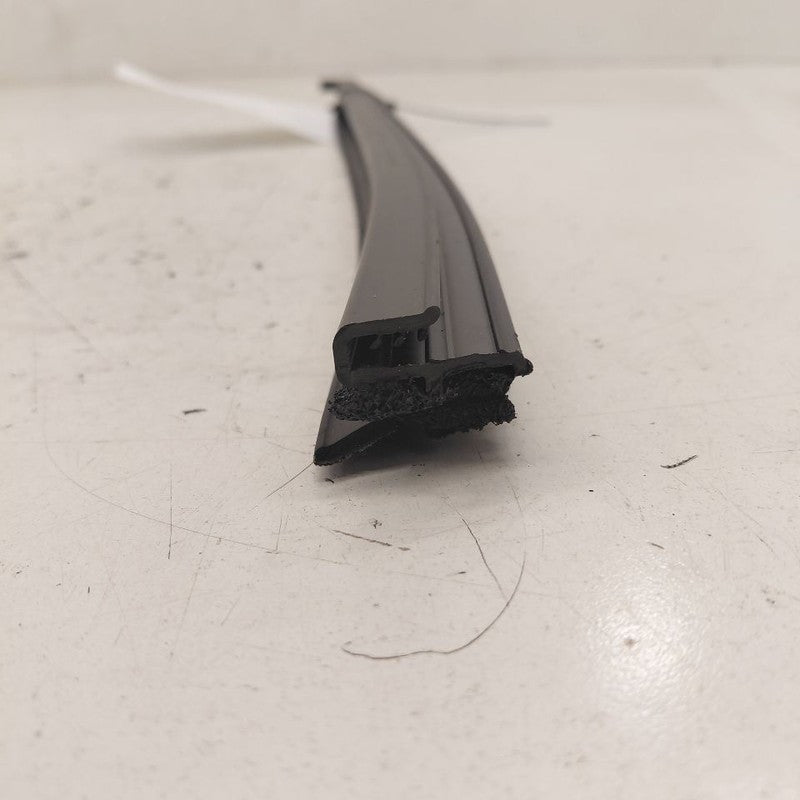 Buick Encore GX Left Rear Weather Strip Interior  2022 2023 2024 2025