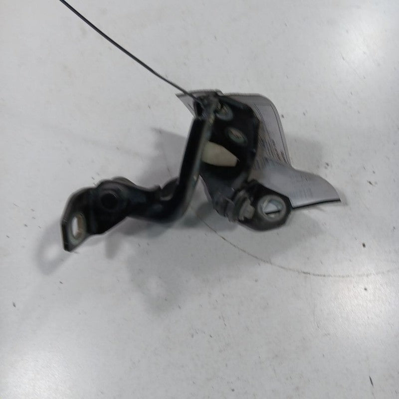Ford Ecosport Door Hinge Set Left Front Driver  2018 2019 2020 2021 20