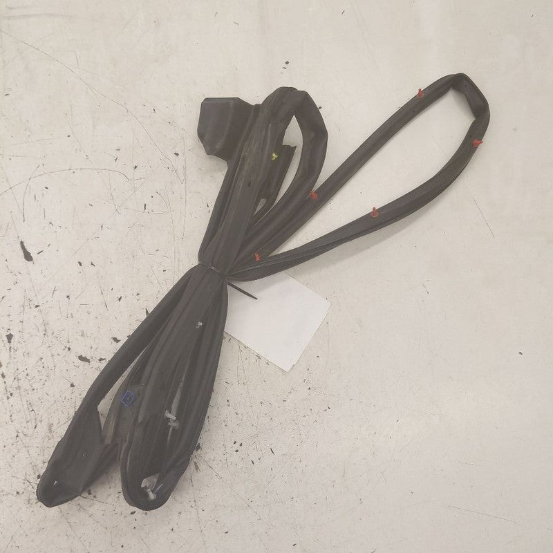Nissan Rogue On Door Seal Rubber Right Passenger Rear Back  2021 2022 