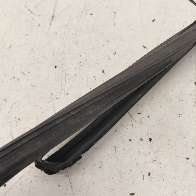Honda Clarity Door Glass Window Seal Rubber Right Passenger Front 2018