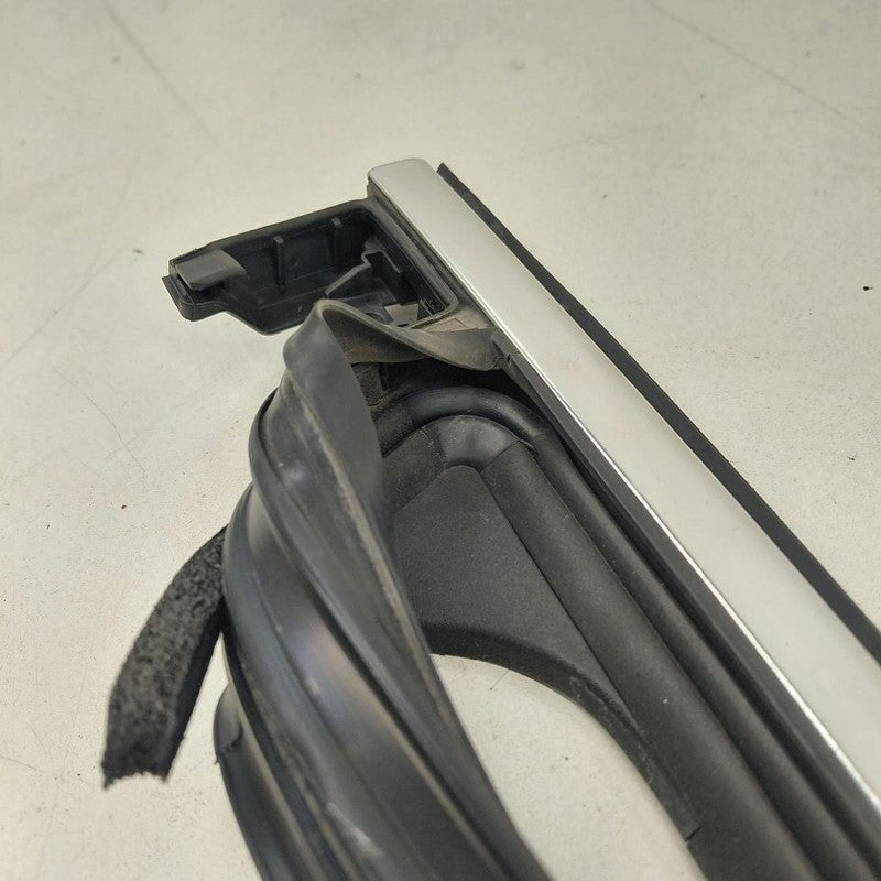 Chevy Volt Door Glass Window Seal Rubber Right Passenger Front  2019 2