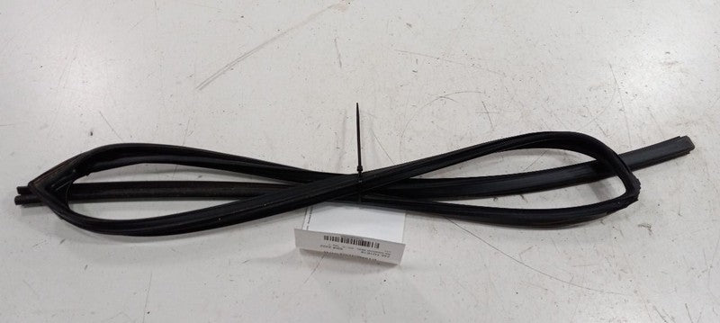 Toyota Corolla Door Glass Window Seal Rubber Right Passenger Rear Back