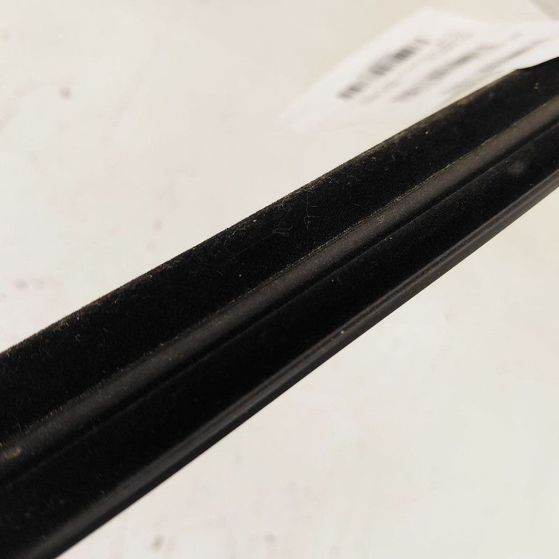 Buick Encore GX Door Glass Window Weather Strip Trim Front Left Driver