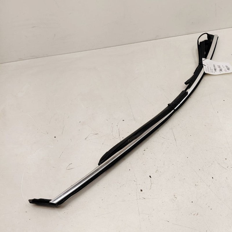 Cadillac XTS Door Glass Window Seal Rubber Right Passenger Front      