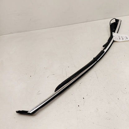 Cadillac XTS Door Glass Window Seal Rubber Right Passenger Front      