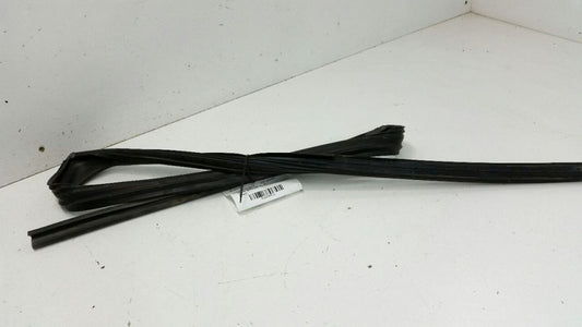 Honda Accord Door Glass Window Seal Rubber Gasket Right Passenger Rear Back 2007