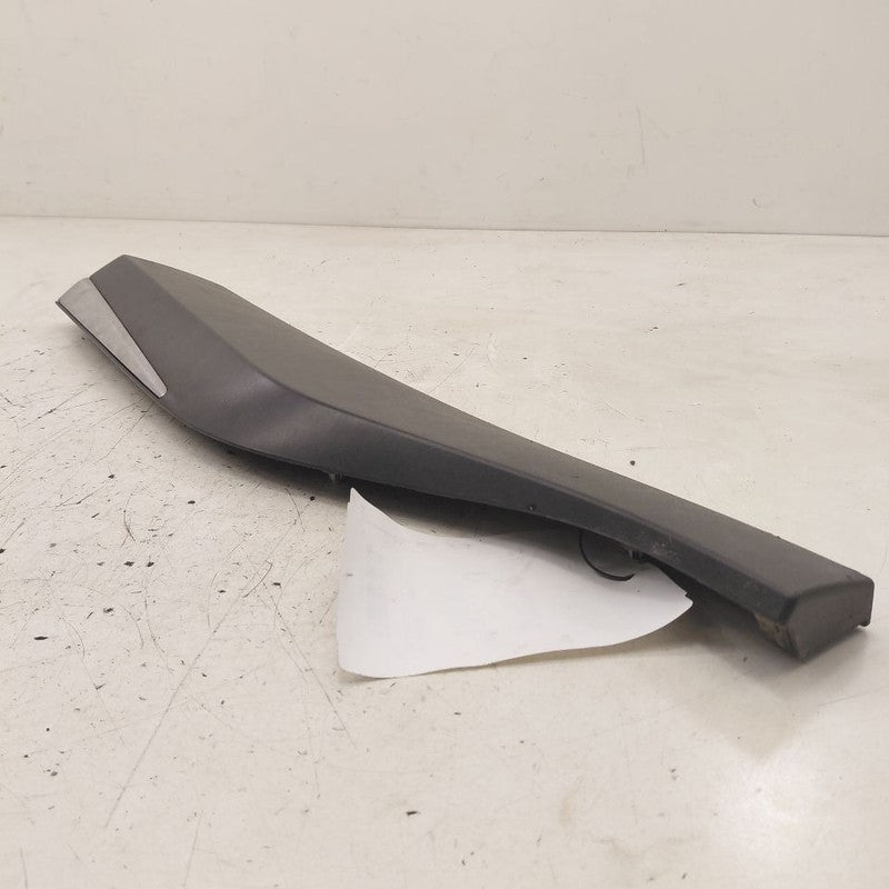 Nissan Murano Door Molding Trim Strip Right Passenger Side Rear Back  