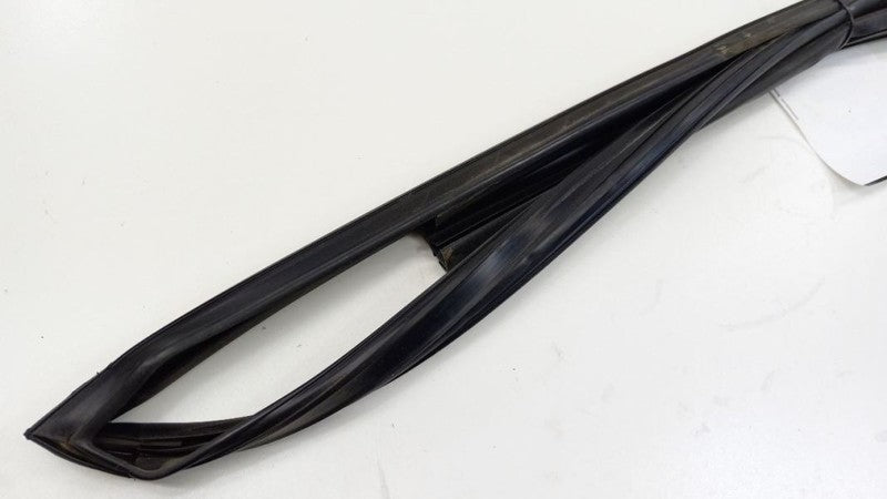 Sentra Door Glass Window Seal Rubber Left Driver Front 2007 2008 2009 2010 2011