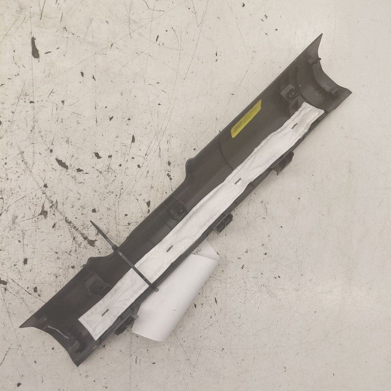 Hyundai Santa Fe Sill Trim Plate Door Jam Threshold Left Driver Front 